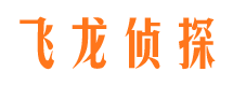 镇巴找人公司